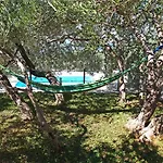 Chill Zone באסקה וודה